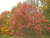 pa130985_thumb.jpg