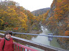 pa141106_thumb.jpg