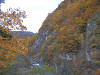 pa141107_thumb.jpg
