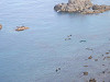 pa160209_thumb.jpg