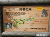 pa160245_thumb.jpg
