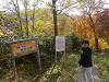 pa160246_thumb.jpg