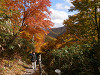 pa160248_thumb.jpg