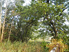 pa170282_thumb.jpg