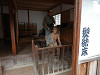 pa170351_thumb.jpg