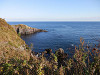 pa180374_thumb.jpg