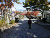 pa180461_thumb.jpg