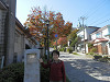 pa180466_thumb.jpg