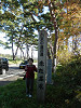 pa180524_thumb.jpg