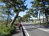 pa180527_thumb.jpg