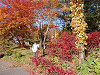 pa190558_thumb.jpg