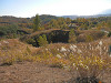 pa190623_thumb.jpg