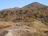 pa190628_thumb.jpg