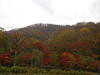 pa200705_thumb.jpg