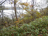 pa200753_thumb.jpg