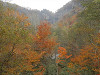pa200763_thumb.jpg