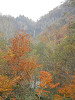 pa200767_thumb.jpg