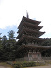 p3020121_thumb.jpg
