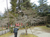 p3020123_thumb.jpg