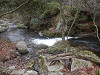 p3030141_thumb.jpg