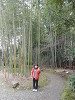 p3030240_thumb.jpg