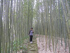 p3030264_thumb.jpg