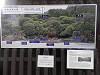 p3040303_thumb.jpg