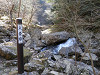 p3260064_thumb.jpg