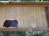 p3260077_thumb.jpg