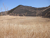 p3260112_thumb.jpg