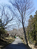 p3260115_thumb.jpg