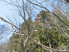 p3260117_thumb.jpg