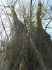 p3270165_thumb.jpg