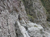 p3280262_thumb.jpg
