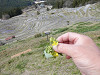 p3280277_thumb.jpg