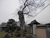 p3290359_thumb.jpg