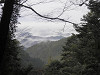 p3300387_thumb.jpg