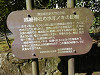 p3300486_thumb.jpg