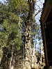 p3300489_thumb.jpg