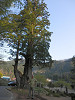 p4250005_thumb.jpg