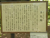 p5170072_thumb.jpg
