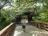 p5170076_thumb.jpg
