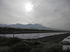 p5180089_thumb.jpg