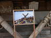 p5180114_thumb.jpg