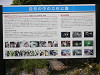 p5180168_thumb.jpg