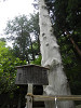 p5180189_thumb.jpg
