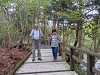 p5190324_thumb.jpg