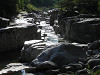p5190333_thumb.jpg