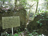 p5200353_thumb.jpg