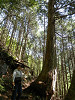p5200358_thumb.jpg